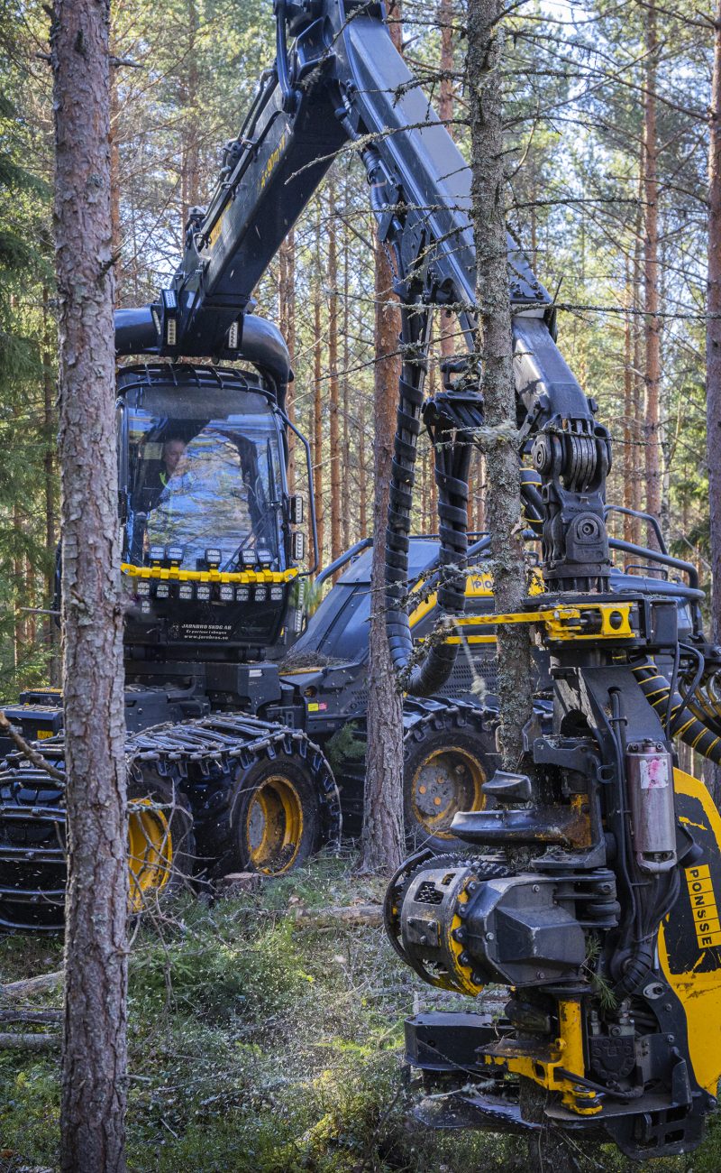 Bildförslag sid 1-